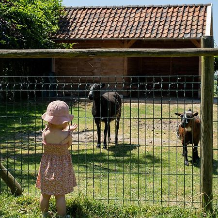 Hoeve De Binnenplaets Schimmert Εξωτερικό φωτογραφία