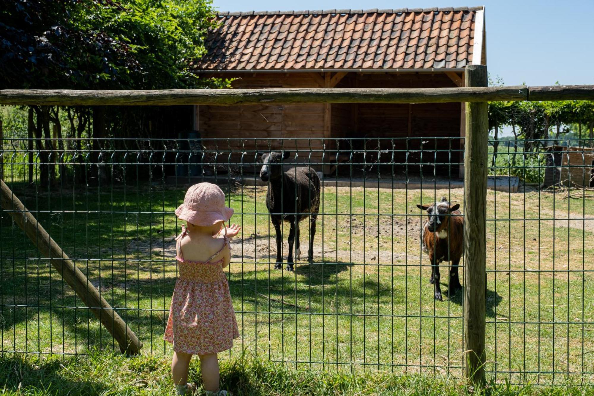 Hoeve De Binnenplaets Schimmert Εξωτερικό φωτογραφία